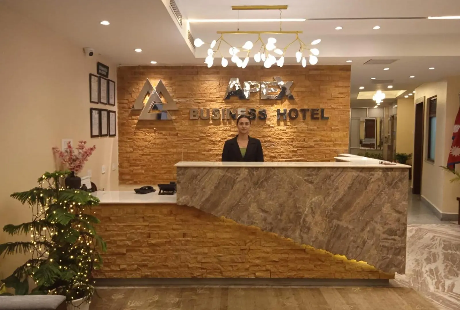 Apex Business Hotel - Airport Kathmandu